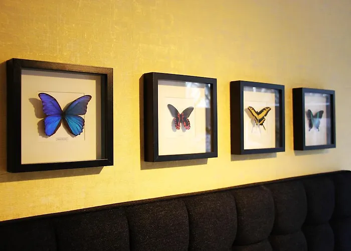 House Of Freddy Hotel