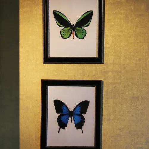 House Of Freddy Amsterdam